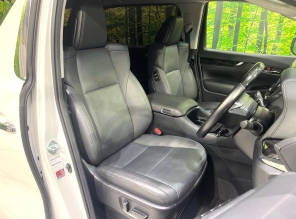 TOYOTA ALPHARD - photo 9 of 34