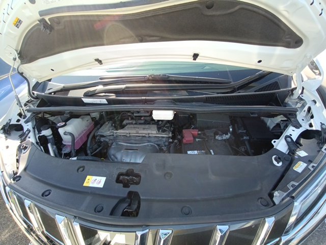 TOYOTA ALPHARD - photo 21 of 34
