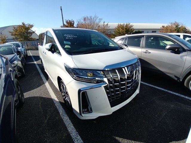 TOYOTA ALPHARD - photo 22 of 34