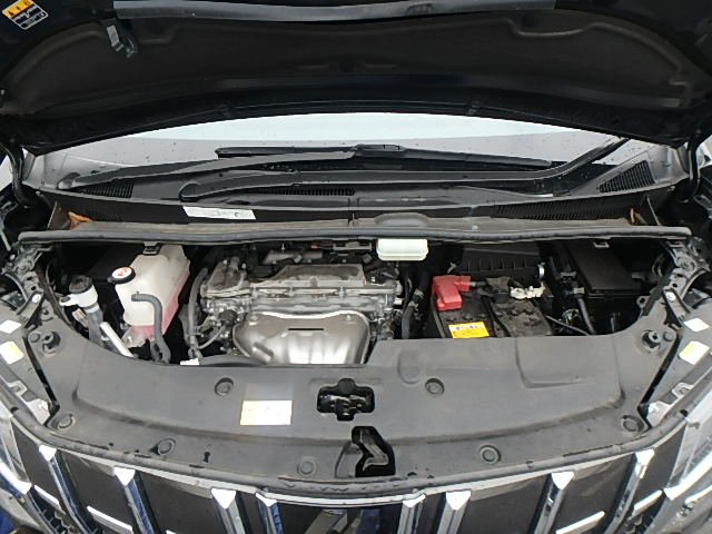 TOYOTA ALPHARD - photo 6 of 16