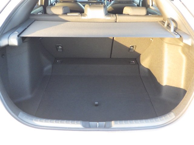 HONDA CIVIC - photo 14 of 15